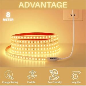 ASKED DECORATION ROPE LIGHT